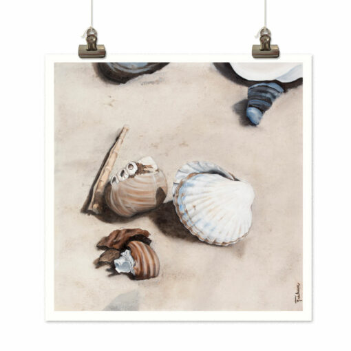 Art print Strandsnäckor (Seashell) by Frickum